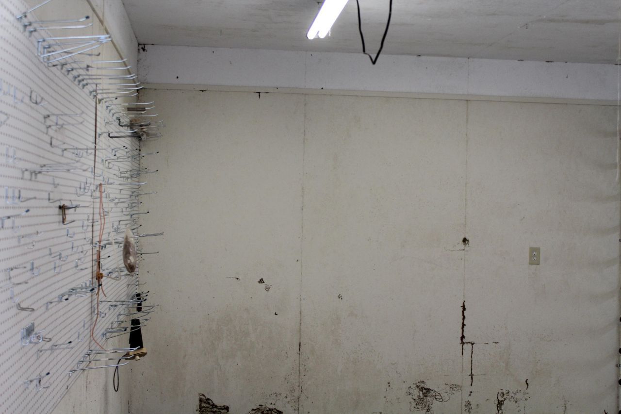 338 Browning Road Photo 36