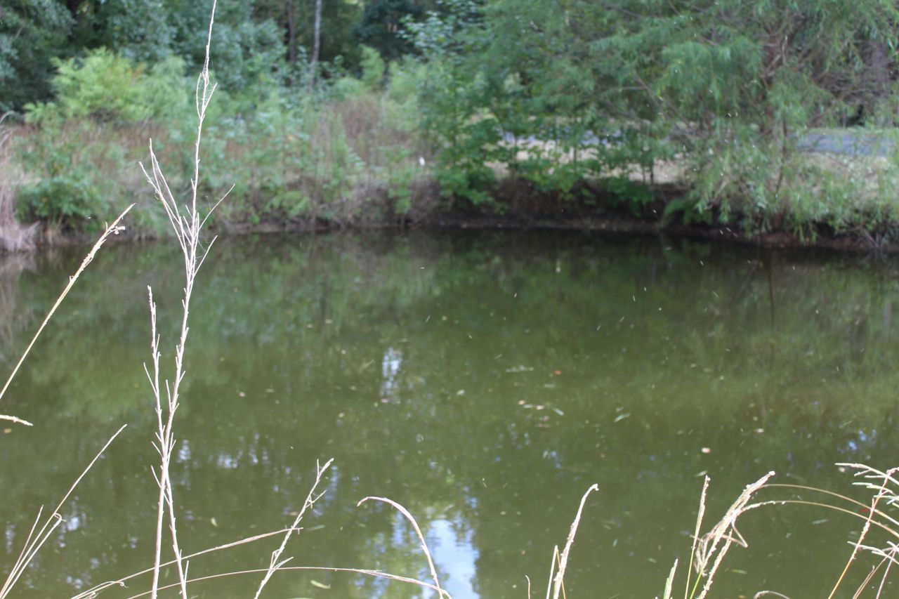 338 Browning Road Photo 55