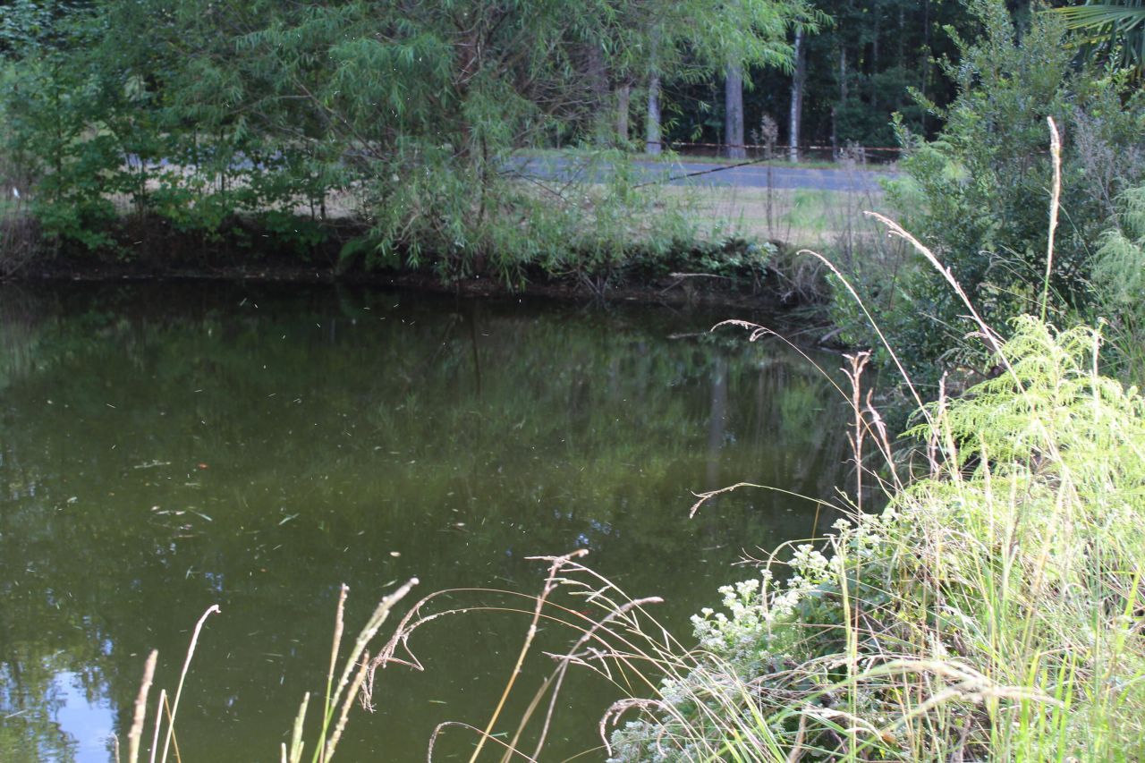 338 Browning Road Photo 56