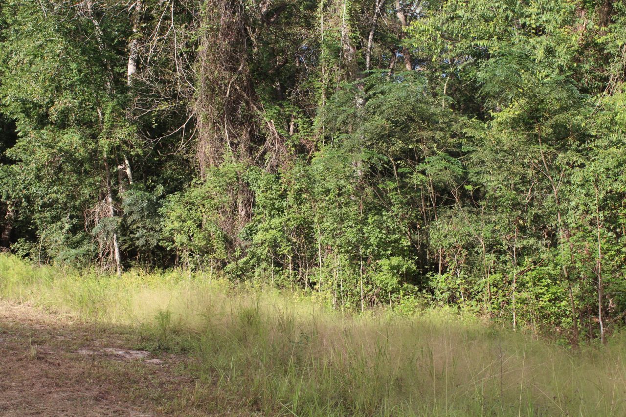 338 Browning Road Photo 57