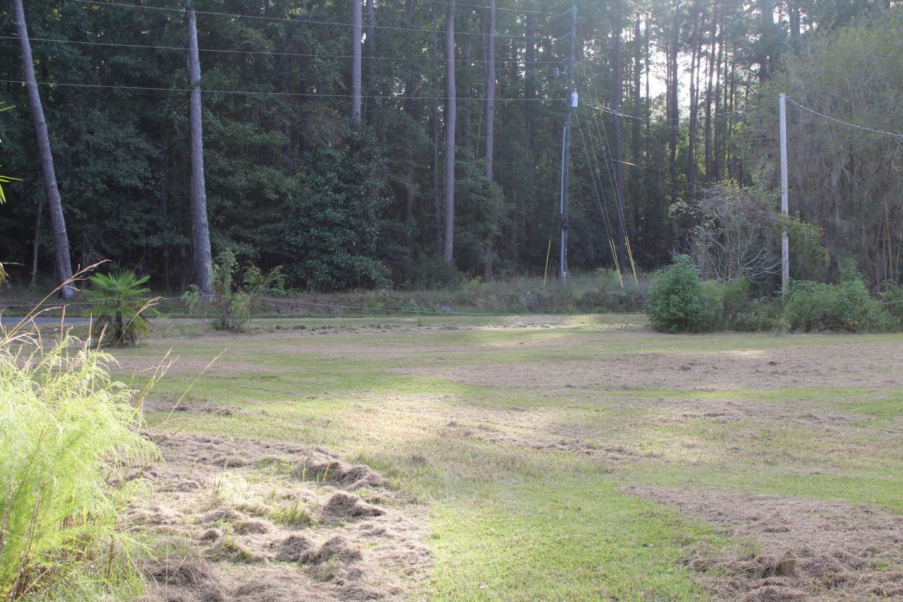 338 Browning Road Photo 58