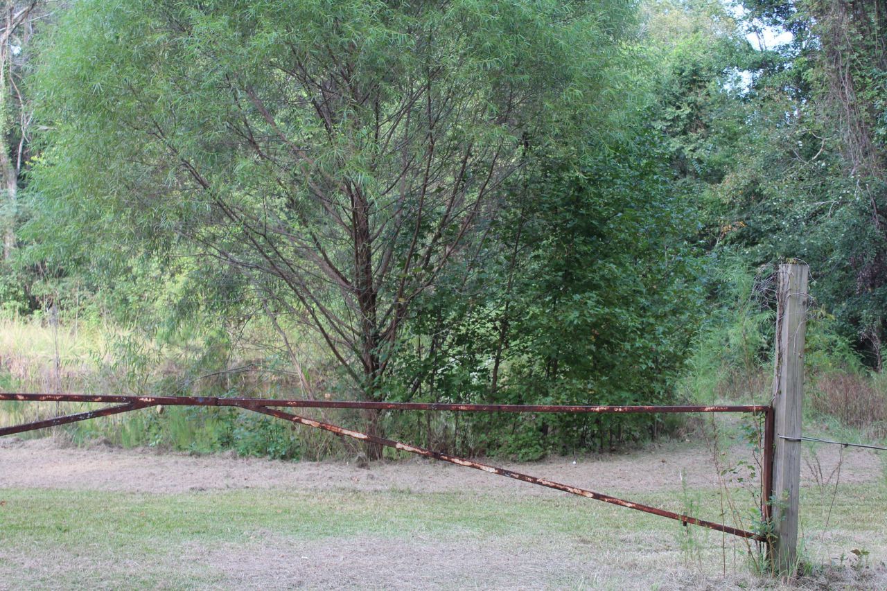 338 Browning Road Photo 59