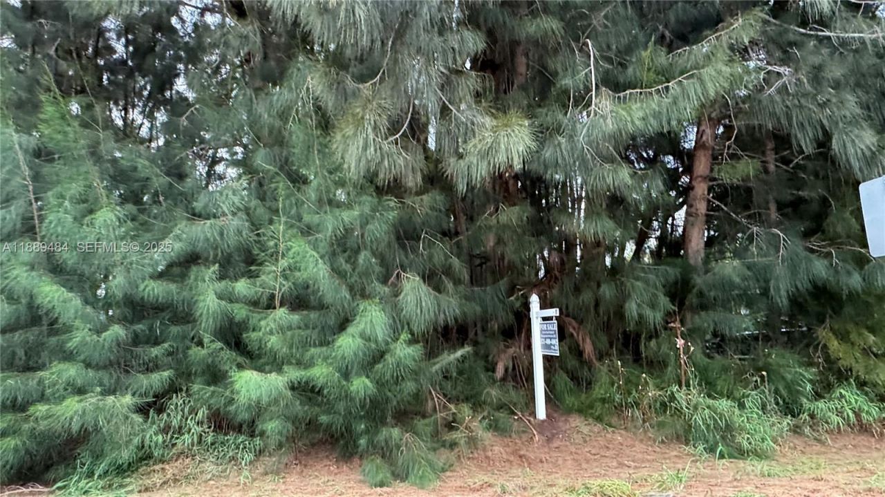 1706 Avienda Ave, Fort Pierce, FL 34946 Photo