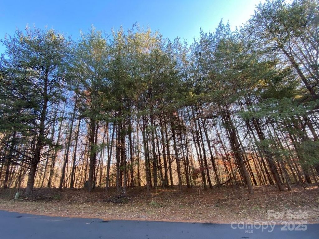 1438 Windemere Lane, Hickory, NC 28602 Main Photo