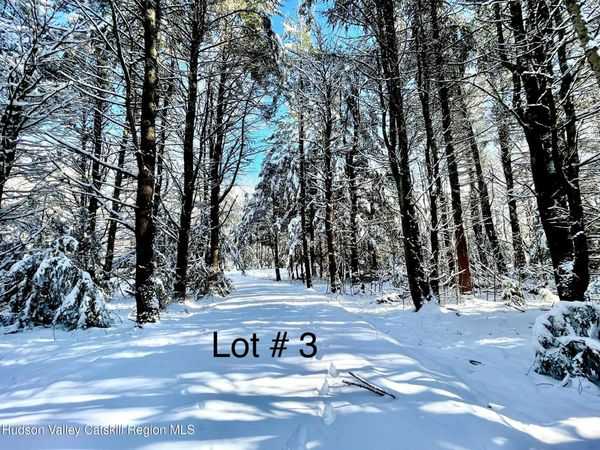 511 Campbell Road, Ashland, NY 12407