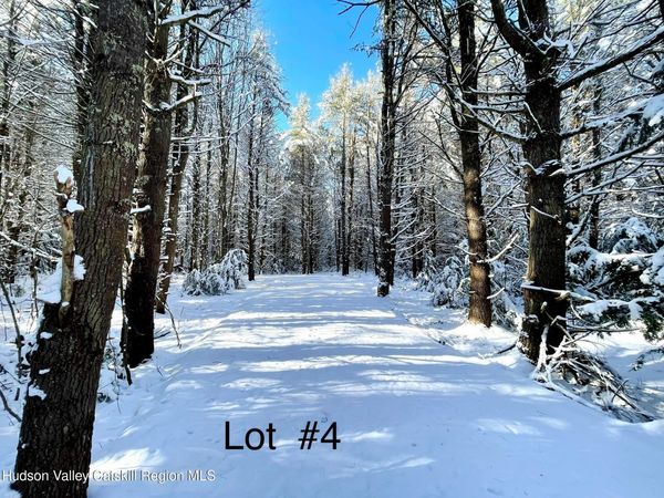 497 Campbell Road, Ashland, NY 12407