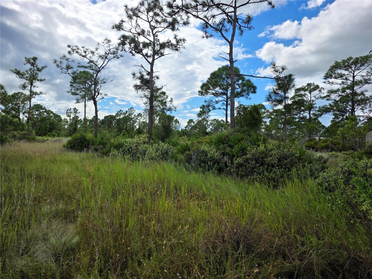 6453 Sweden Boulevard, Punta Gorda, FL 33982 Photo