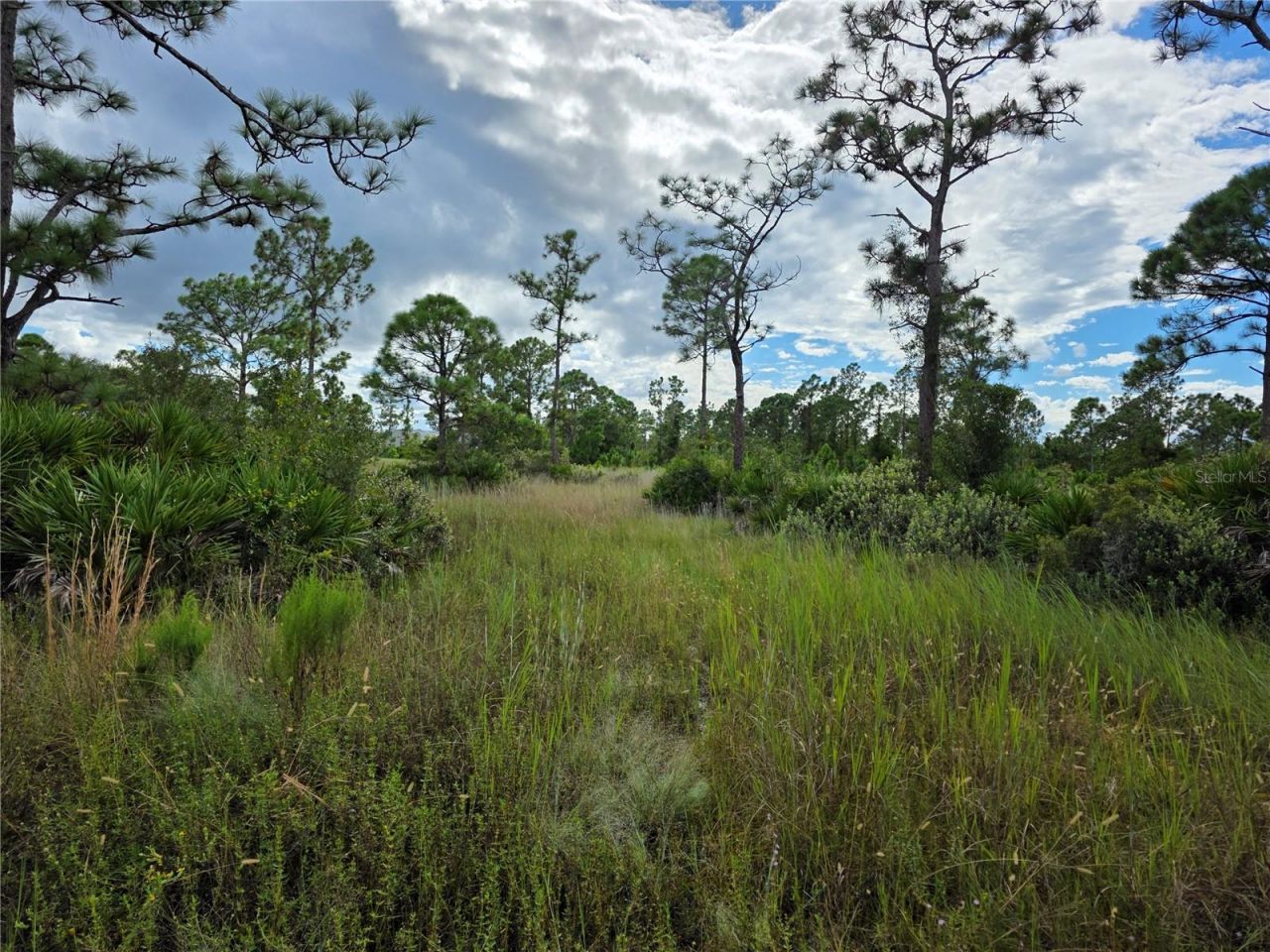 6453 Sweden Boulevard, Punta Gorda, FL 33982 Photo