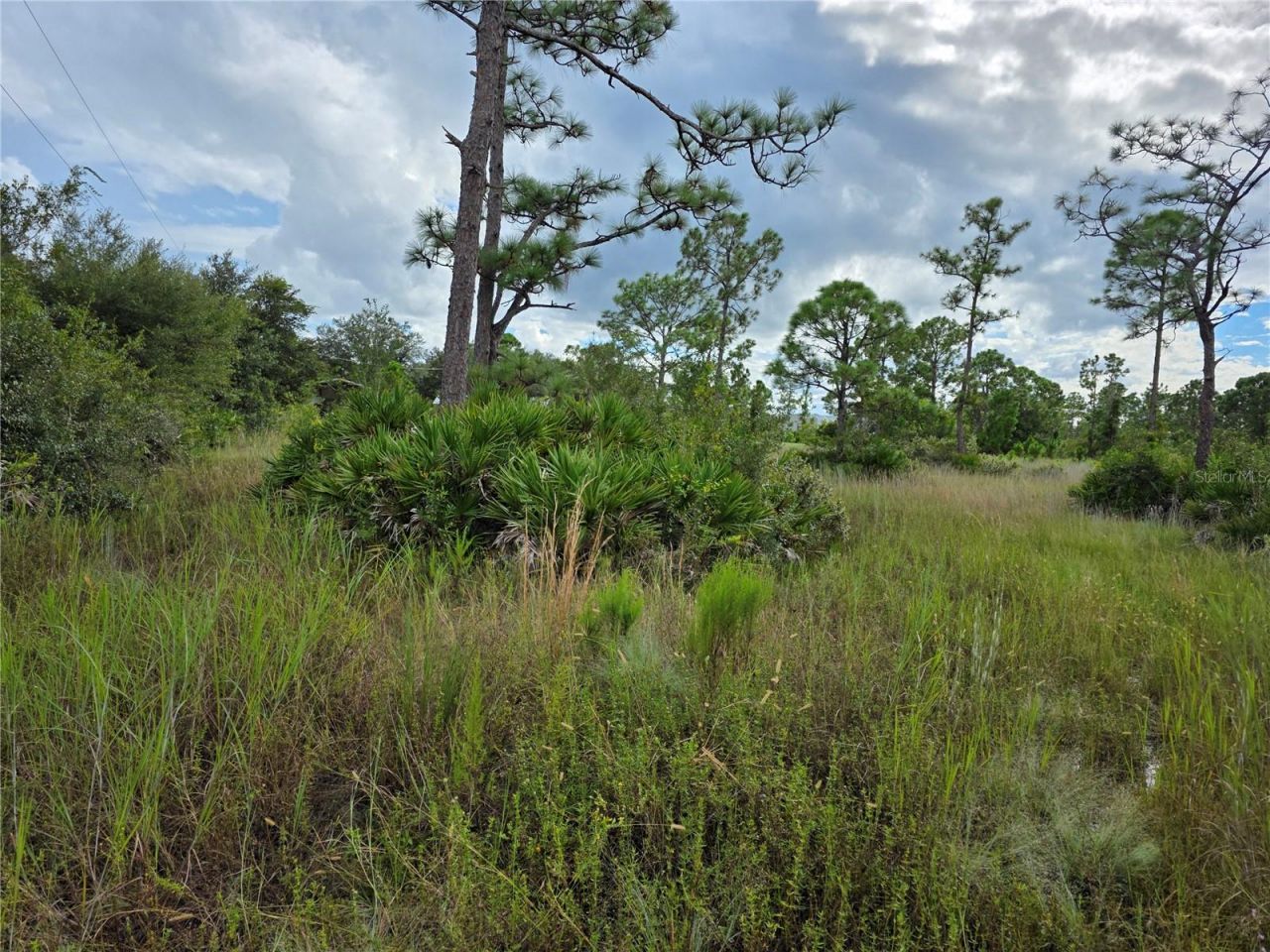 6453 Sweden Boulevard, Punta Gorda, FL 33982 Photo