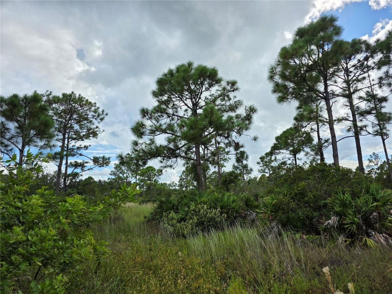 6453 Sweden Boulevard, Punta Gorda, FL 33982 Photo