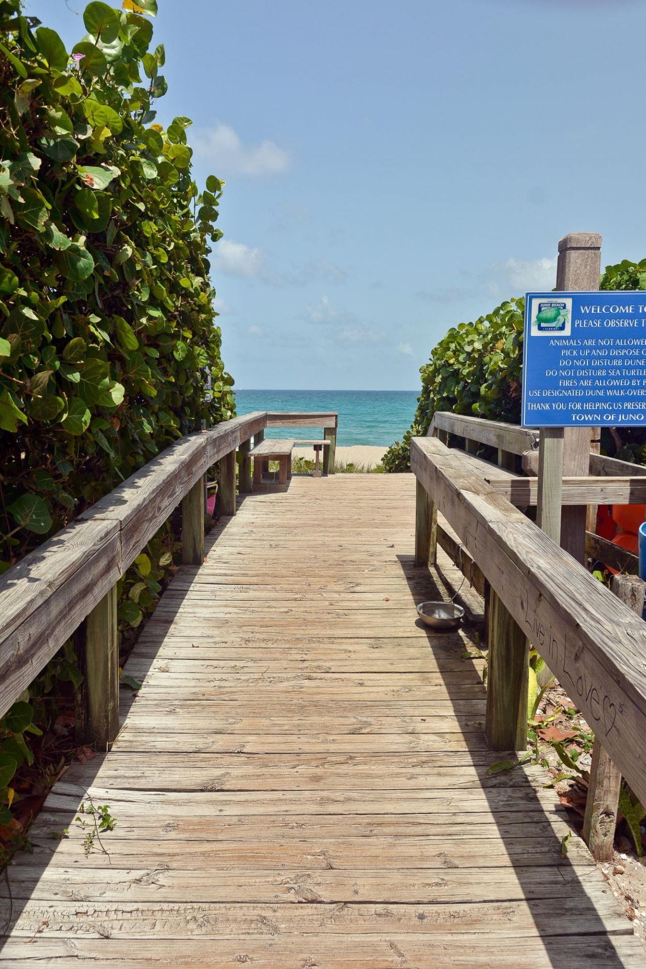 50 Celestial Way, Unit 8e, Juno Beach, FL 33408 Photo