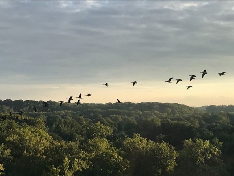 18875 Riversouth, Unit 30, Fairview Park, OH 44126 Photo 31