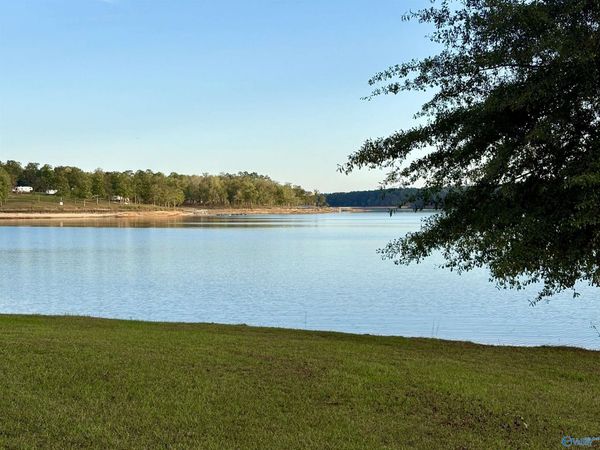 LOT 232 Stoney Point Road, Double Springs, AL 35553