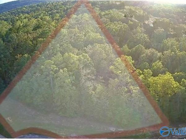 LOT 232 Stoney Point Road, Double Springs, AL 35553