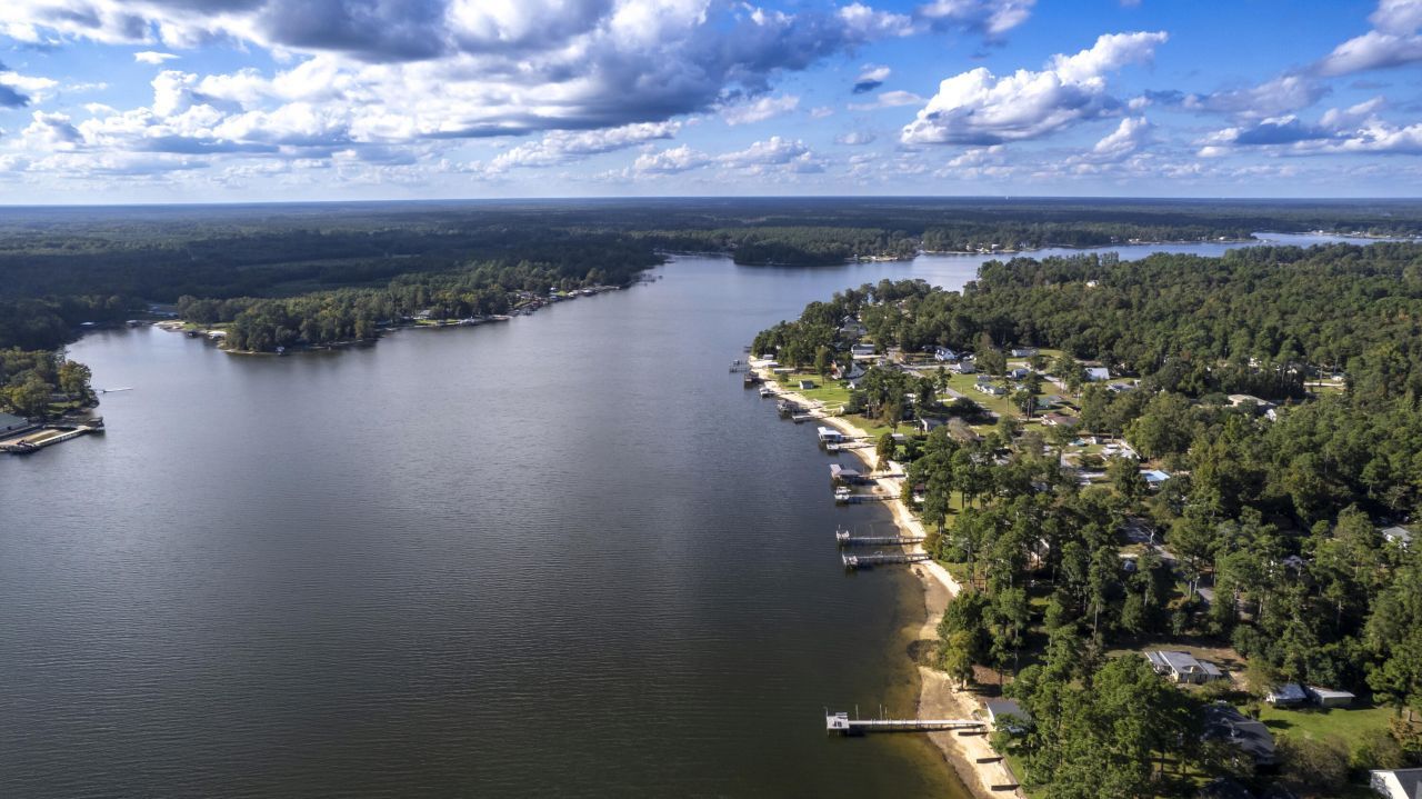 1229 Lemon Avenue Photo 6