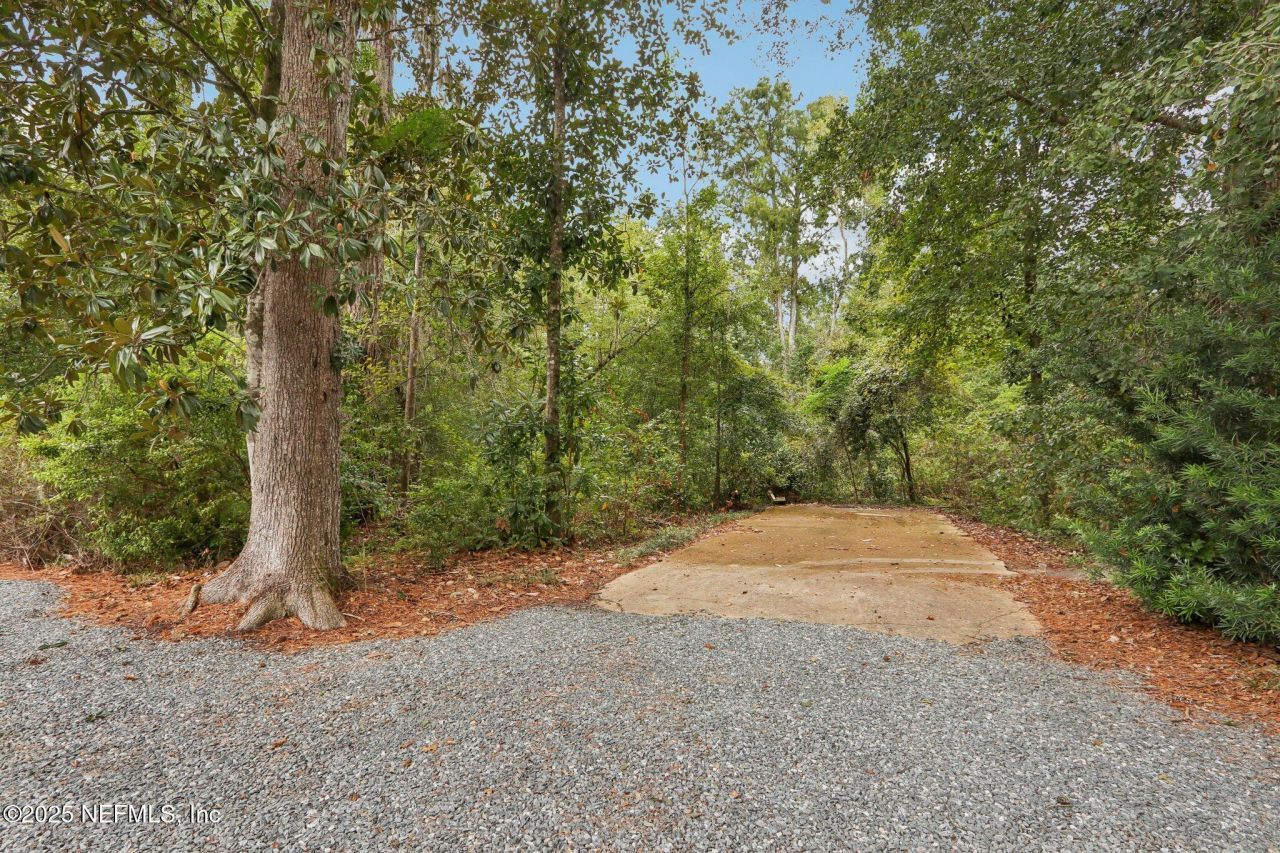 3775 Forest Drive, Middleburg, FL 32068 Photo