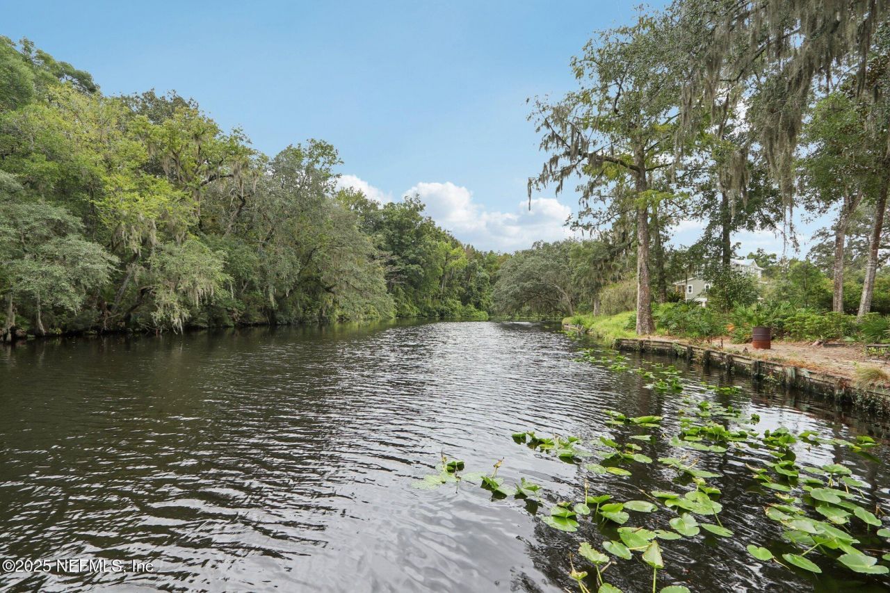 3775 Forest Drive, Middleburg, FL 32068 Photo