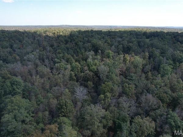 214 Wayne 503 B, Lowndes, MO 63951