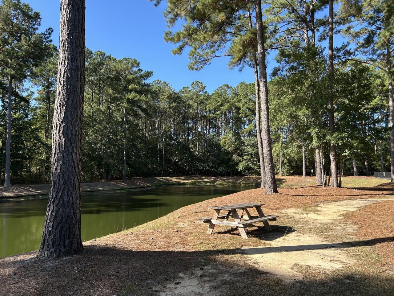 9126 Maple Grove Drive Photo 32