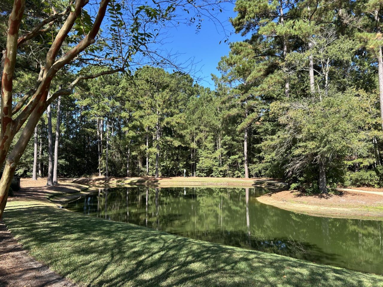 9126 Maple Grove Drive Photo 35