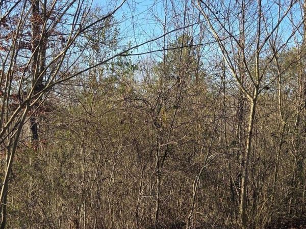 Lot 3 Sugar Maple Court, Madisonville, TN 37354