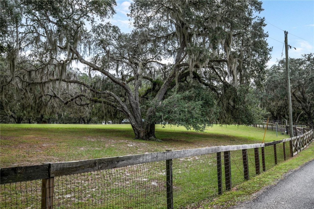 41812 Catbrier Lane, Umatilla, FL 32784 Photo