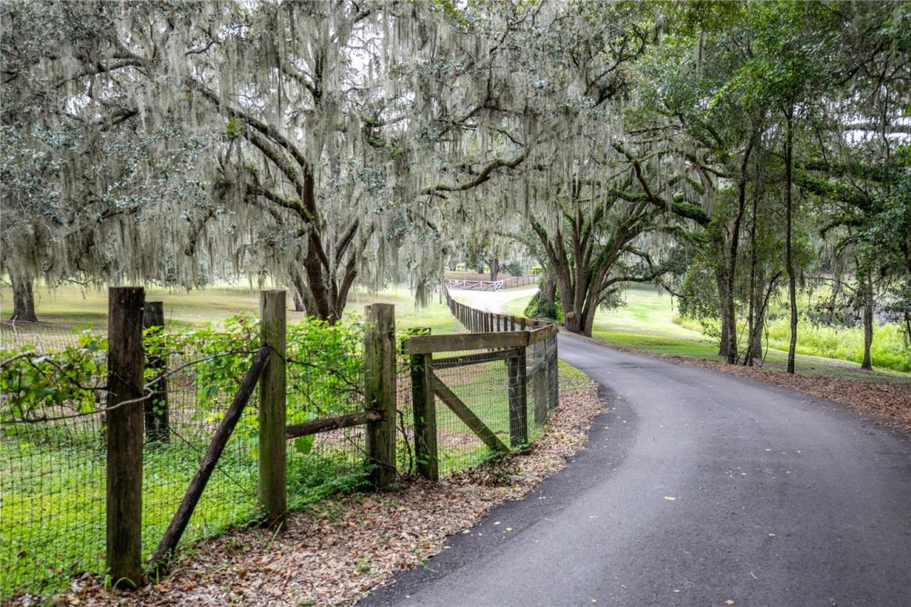 41812 Catbrier Lane, Umatilla, FL 32784 Photo