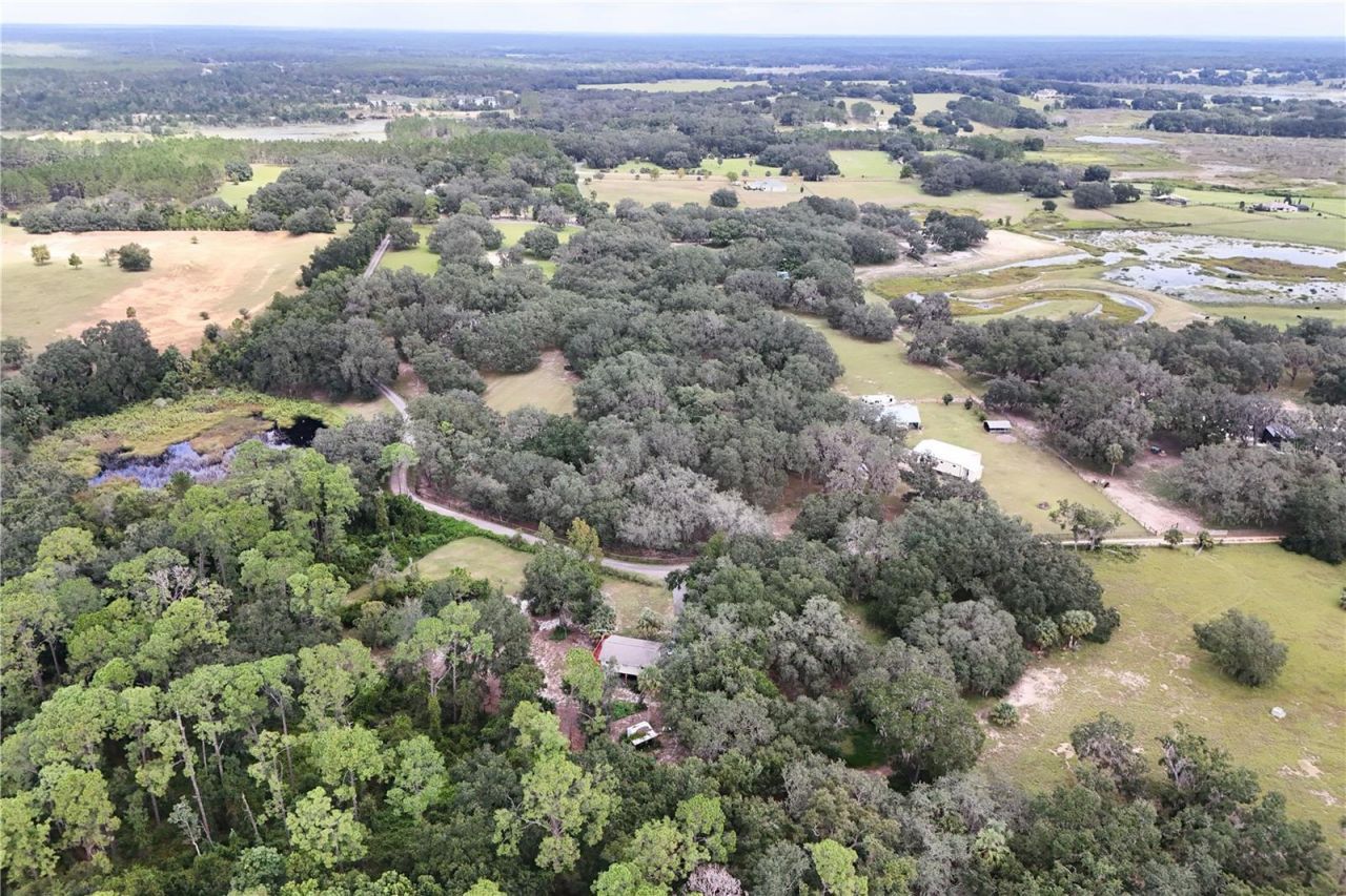 41812 Catbrier Lane, Umatilla, FL 32784 Photo