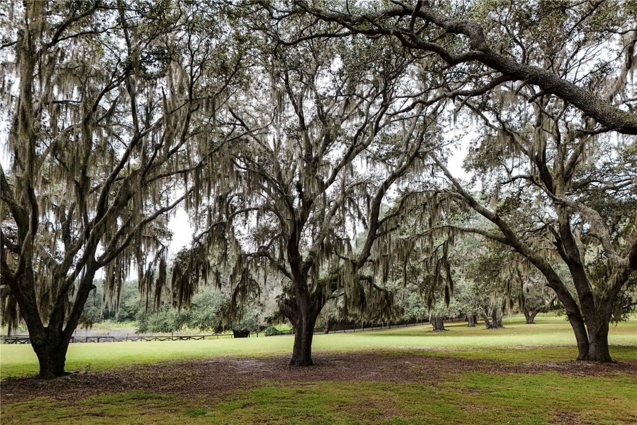 41812 Catbrier Lane, Umatilla, FL 32784 Photo