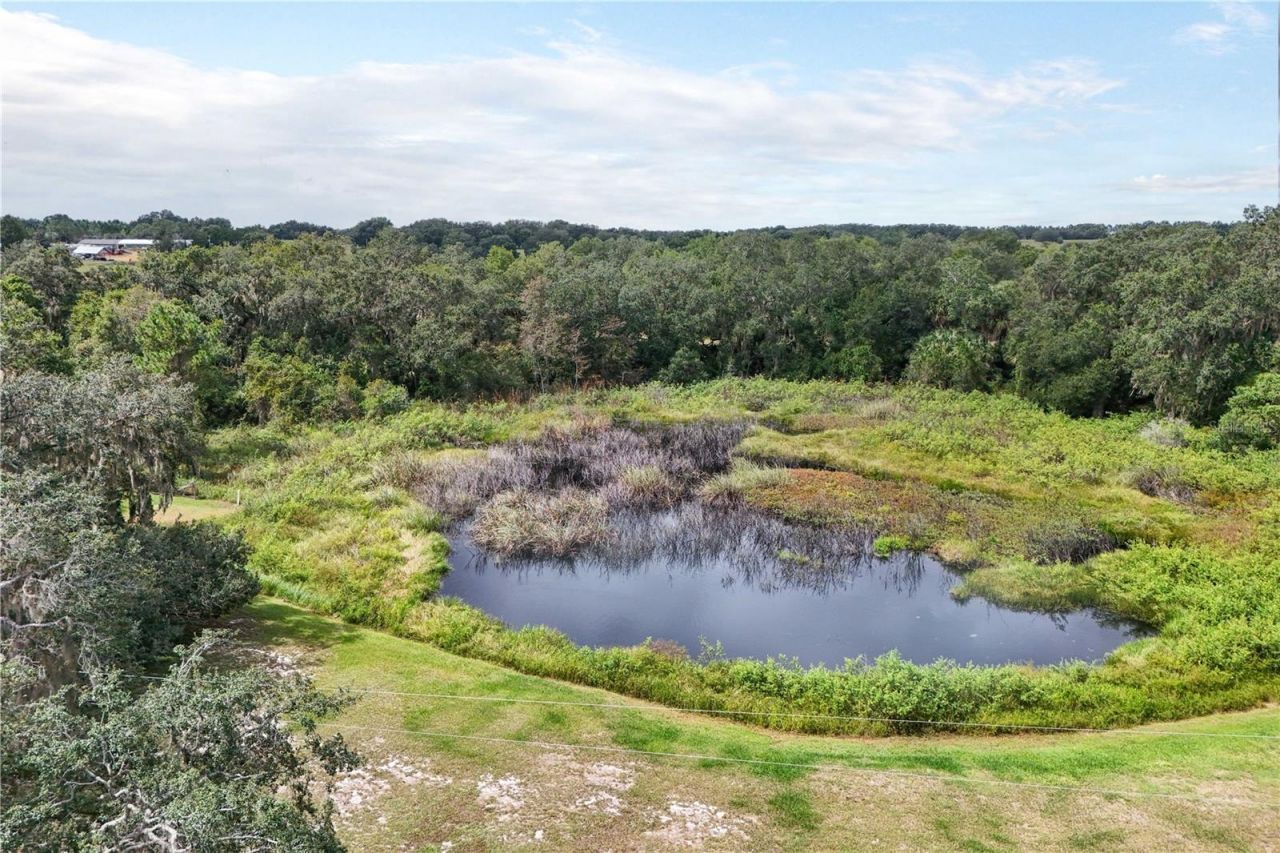 41812 Catbrier Lane, Umatilla, FL 32784 Photo