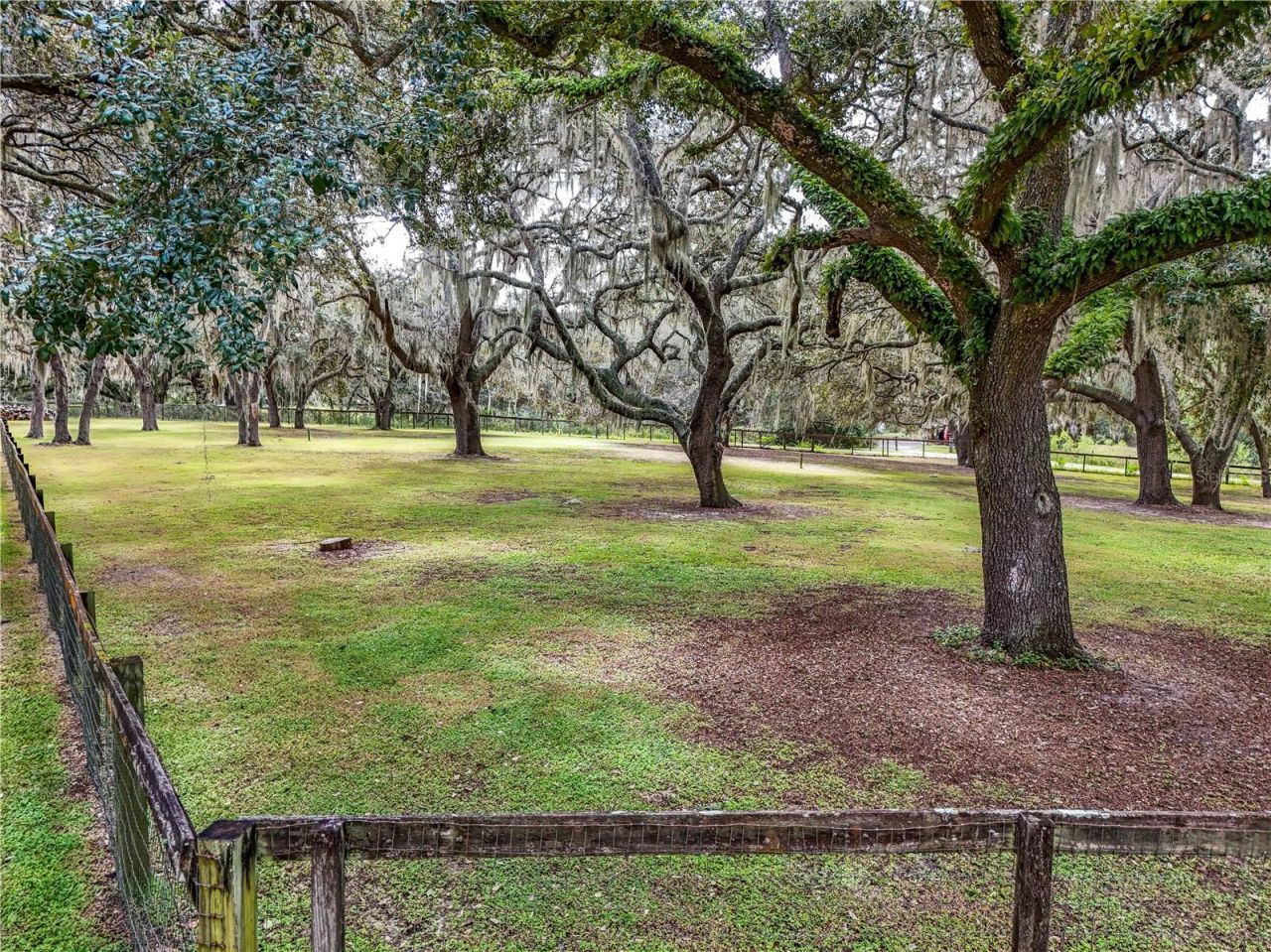 41812 Catbrier Lane, Umatilla, FL 32784 Photo