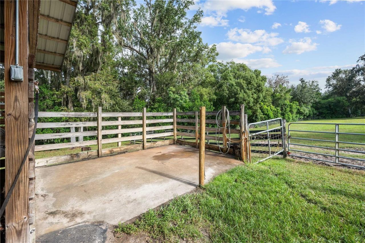 15833 Jessamine Road, Dade City, FL 33523 Photo