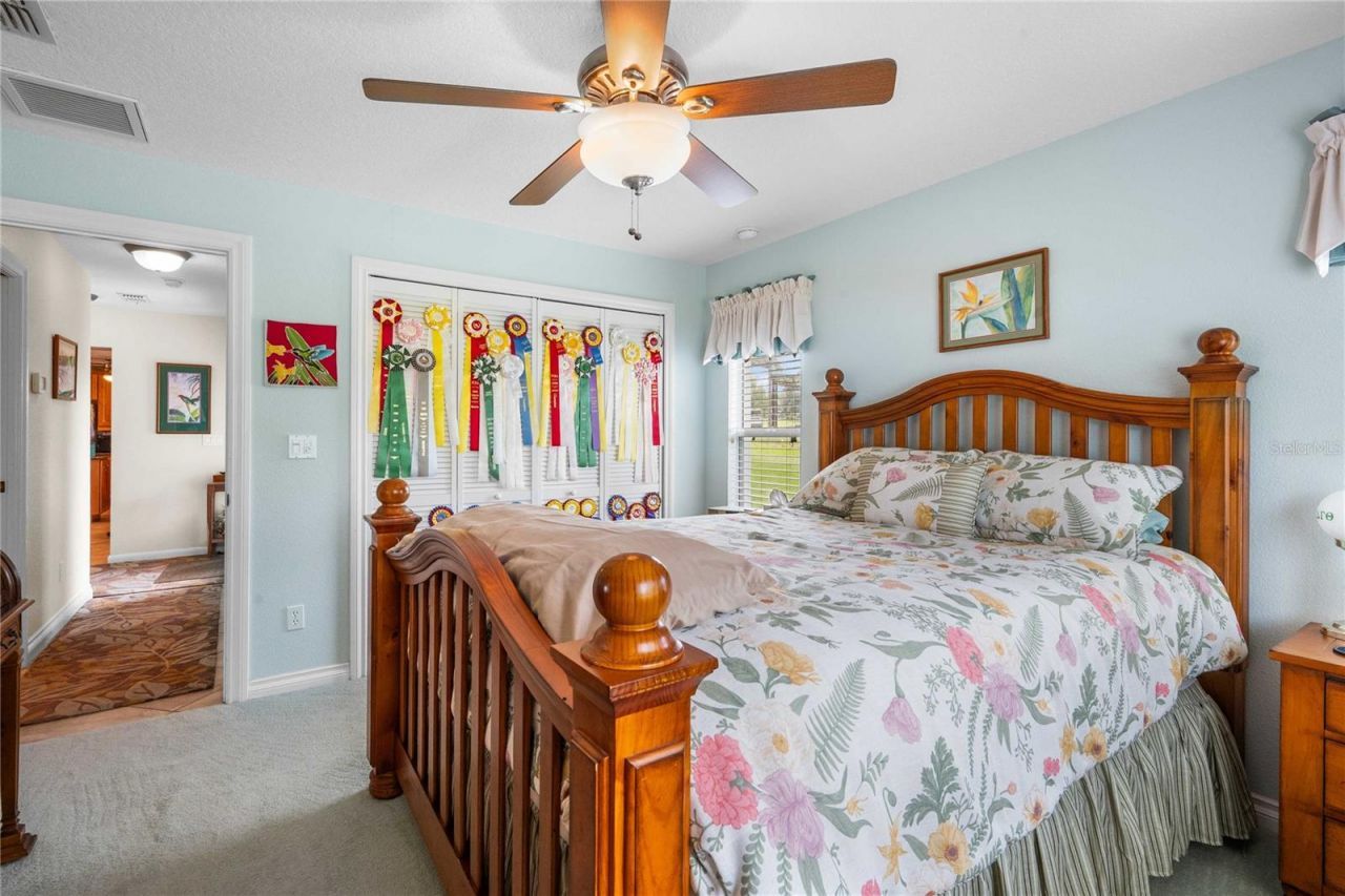 15833 Jessamine Road, Dade City, FL 33523 Photo