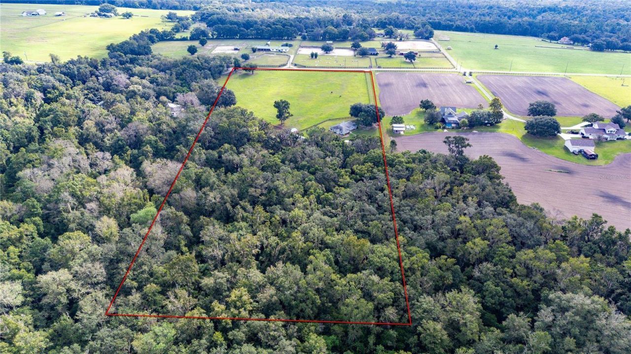 15833 Jessamine Road, Dade City, FL 33523 Photo