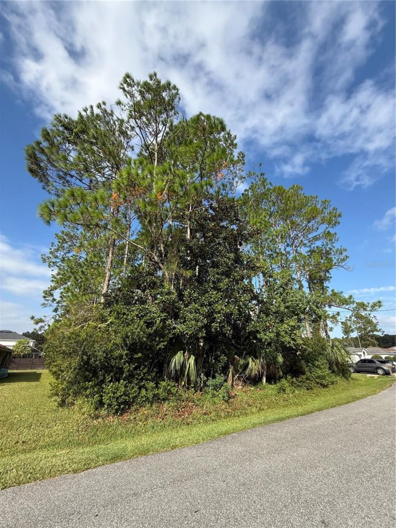 19 Lindberg Lane, Palm Coast, FL 32137 Photo