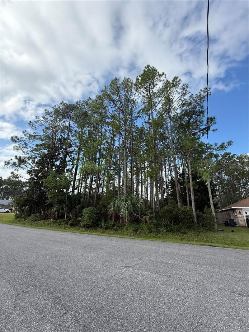 19 Lindberg Lane, Palm Coast, FL 32137 Photo