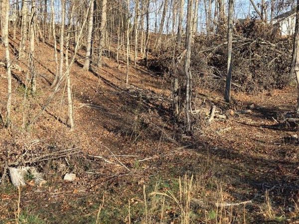 Lot 5 Sugar Maple Court, Madisonville, TN 37354
