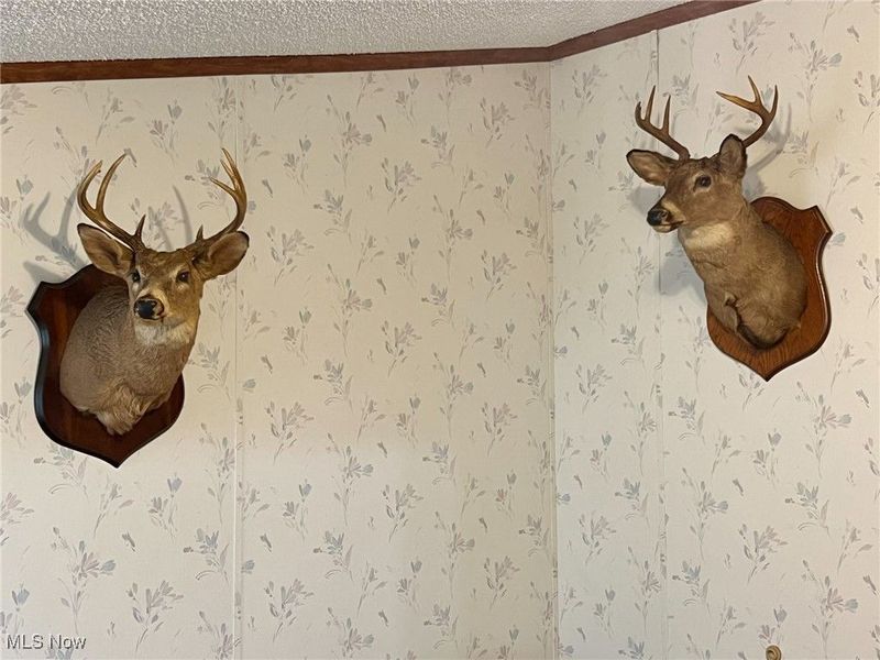 1964 County Road 58, Irondale, OH 43932 Photo 14