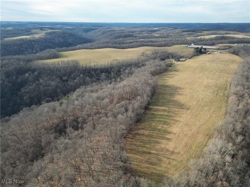 1964 County Road 58, Irondale, OH 43932 Photo 3