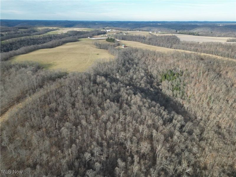 1964 County Road 58, Irondale, OH 43932 Photo 4