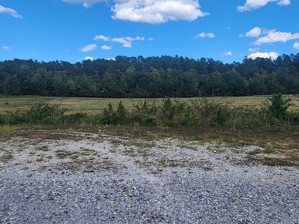 202 (Lot#17) Reva's Way, Story, AR 71970