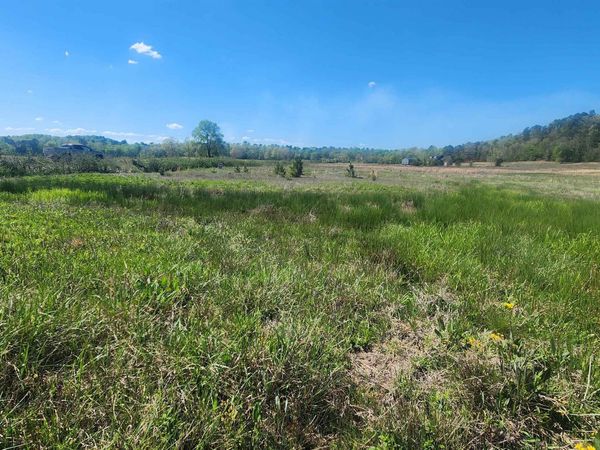 202 (Lot#17) Reva's Way, Story, AR 71970