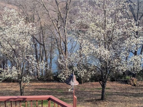 832 Atalanta Drive, Rogers, AR 72756