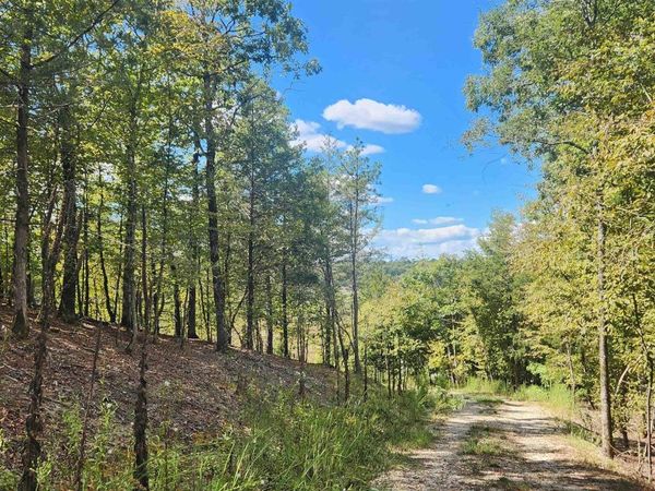 224 (Lot#15N) Reva's Way, Story, AR 71970