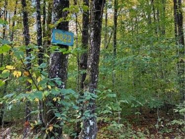 9822 Culver Brook Rd, Alder Creek, NY 13309