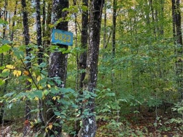 9822 Culver Brook Rd, Alder Creek, NY 13309