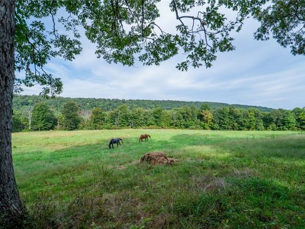 6270 Madison, Wesley, AR 72773