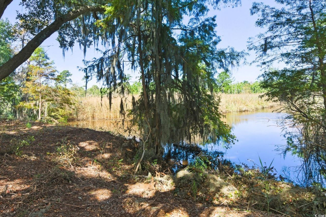 Lot 5 Whitehall Ave. Photo 11