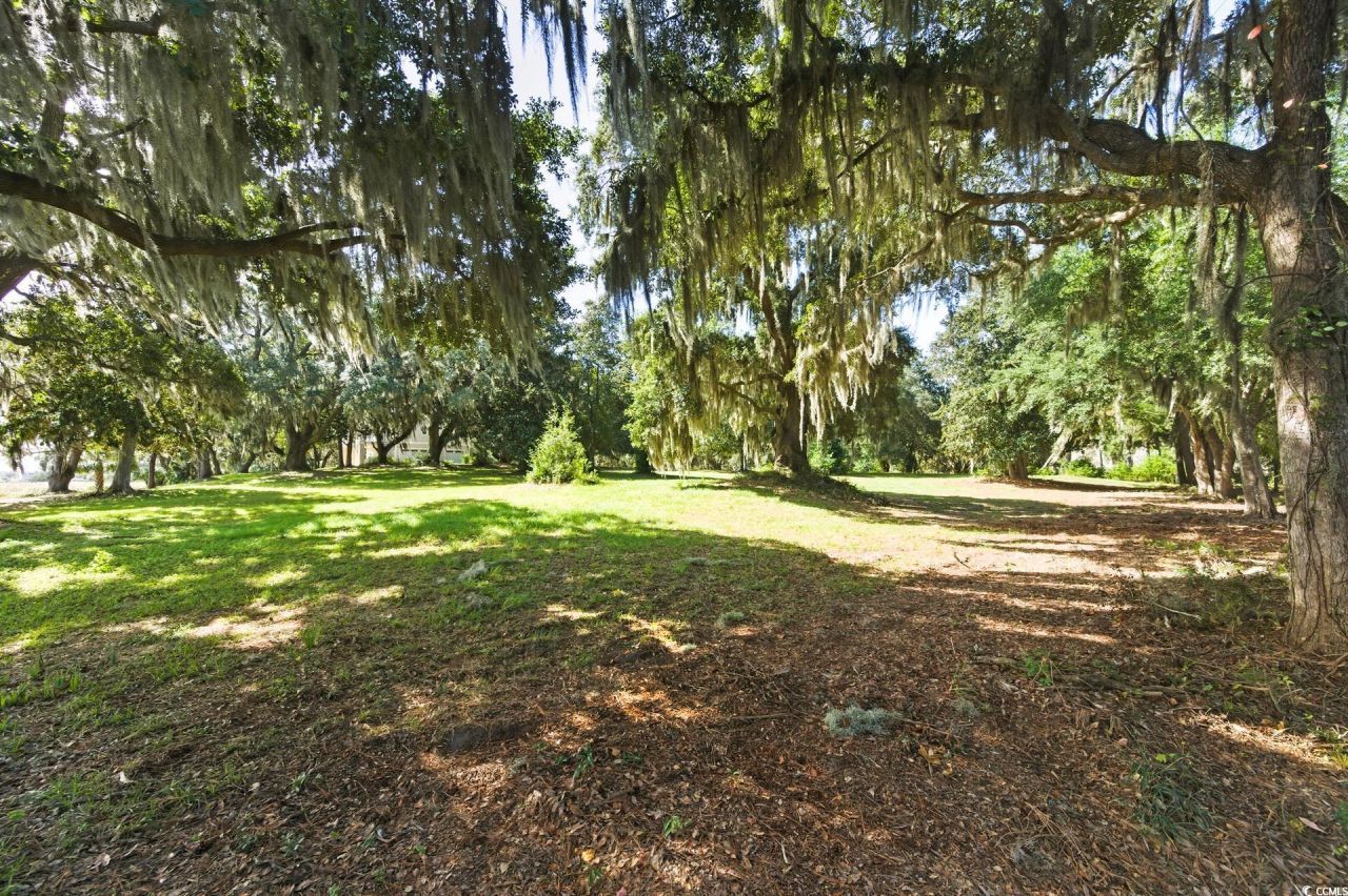 Lot 5 Whitehall Ave. Photo 12