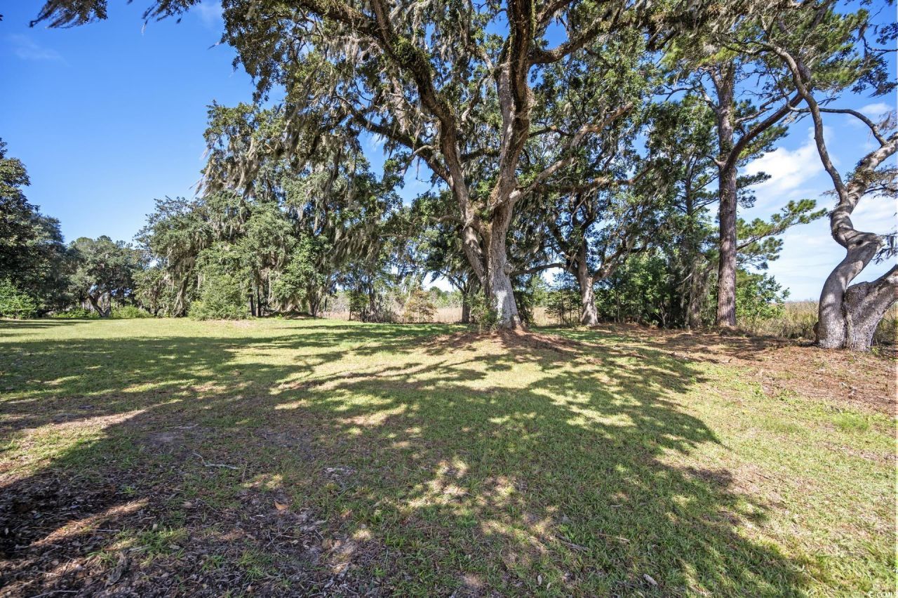 Lot 5 Whitehall Ave. Photo 7